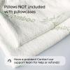 image100 Waterproof Pillow Protectors King 20x36 Pair Zippered Pillow Case Pillow Cover Guaranteed Noiseless Pad Ultra Plush Absorbent Viscose Made from Bamboo Green 2 PackGreen