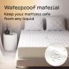 image100 Waterproof Queen Mattress Protector  360 Pad Protection Against Spills Stains ampamp Accidents for Parents ampamp Pet Owners  Noiseless ampamp Cooling Viscose Made from Bamboo GreenKing