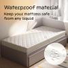 image100 Waterproof Queen Mattress Protector  360 Pad Protection Against Spills Stains ampamp Accidents for Parents ampamp Pet Owners  Noiseless ampamp Cooling Viscose Made from Bamboo GreenTwin