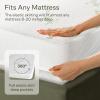 image100 Waterproof Queen Mattress Protector  360 Pad Protection Against Spills Stains ampamp Accidents for Parents ampamp Pet Owners  Noiseless ampamp Cooling Viscose Made from Bamboo GreenTwin