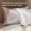 imageNiagara 100 Mulberry Silk Pillowcase  30 Momme Silk Pillow case for Hair and Skin  Grade 6A Silk Pillow Cases with Zipper  Soft ampamp Cooling Beige Silk Pillowcase Queen Size 20quotx30quotGrey