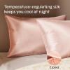 imageNiagara 100 Mulberry Silk Pillowcase  30 Momme Silk Pillow case for Hair and Skin  Grade 6A Silk Pillow Cases with Zipper  Soft ampamp Cooling Beige Silk Pillowcase Queen Size 20quotx30quotPink