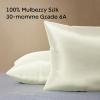 imageNiagara 100 Mulberry Silk Pillowcase  30 Momme Silk Pillow case for Hair and Skin  Grade 6A Silk Pillow Cases with Zipper  Soft ampamp Cooling Beige Silk Pillowcase Queen Size 20quotx30quotChampagne