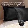 imageNiagara 100 Mulberry Silk Pillowcase  30 Momme Silk Pillow case for Hair and Skin  Grade 6A Silk Pillow Cases with Zipper  Soft ampamp Cooling Beige Silk Pillowcase Queen Size 20quotx30quotBlack