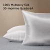 imageNiagara 100 Mulberry Silk Pillowcase  30 Momme Silk Pillow case for Hair and Skin  Grade 6A Silk Pillow Cases with Zipper  Soft ampamp Cooling Beige Silk Pillowcase Queen Size 20quotx30quotGrey