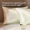 imageNiagara 100 Mulberry Silk Pillowcase  30 Momme Silk Pillow case for Hair and Skin  Grade 6A Silk Pillow Cases with Zipper  Soft ampamp Cooling Beige Silk Pillowcase Queen Size 20quotx30quotChampagne