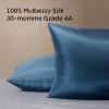 imageNiagara 100 Mulberry Silk Pillowcase  30 Momme Silk Pillow case for Hair and Skin  Grade 6A Silk Pillow Cases with Zipper  Soft ampamp Cooling Beige Silk Pillowcase Queen Size 20quotx30quotNavy Blue