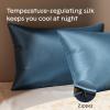 imageNiagara 100 Mulberry Silk Pillowcase  30 Momme Silk Pillow case for Hair and Skin  Grade 6A Silk Pillow Cases with Zipper  Soft ampamp Cooling Beige Silk Pillowcase Queen Size 20quotx30quotNavy Blue