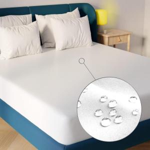 imageNiagara Sleep Solution Extra Soft Waterproof Queen Mattress Protector 60x80 Inches White Noiseless Breathable Machine WashableTwin